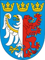 Starostwo Powiatowe w Pabianicach
